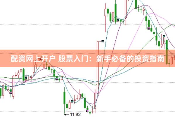 配资网上开户 股票入门：新手必备的投资指南