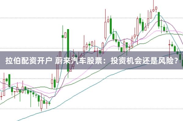 拉伯配资开户 蔚来汽车股票：投资机会还是风险？