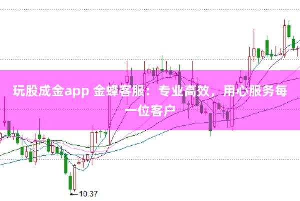 玩股成金app 金蜂客服：专业高效，用心服务每一位客户