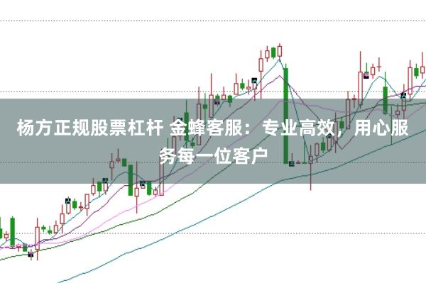 杨方正规股票杠杆 金蜂客服：专业高效，用心服务每一位客户