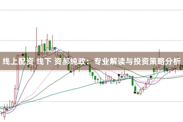 线上配资 线下 资郝纯政：专业解读与投资策略分析