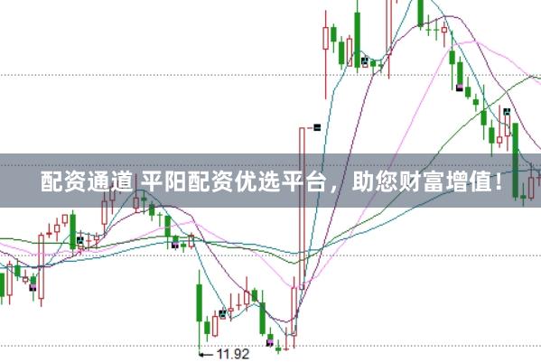 配资通道 平阳配资优选平台，助您财富增值！