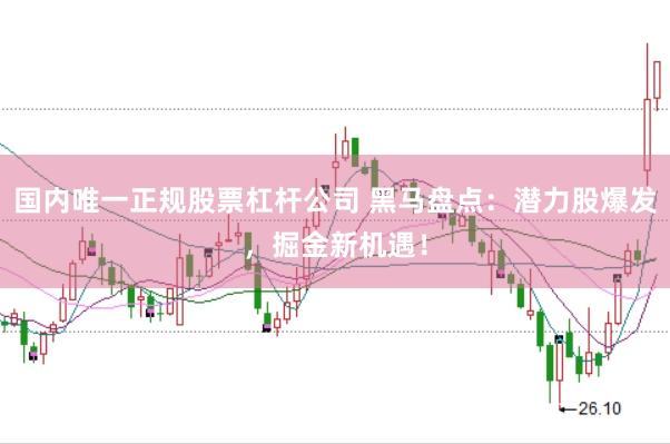 国内唯一正规股票杠杆公司 黑马盘点：潜力股爆发，掘金新机遇！