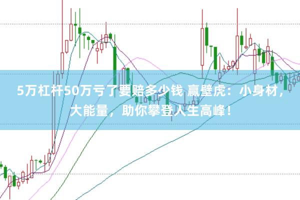 5万杠杆50万亏了要赔多少钱 赢壁虎：小身材，大能量，助你攀登人生高峰！