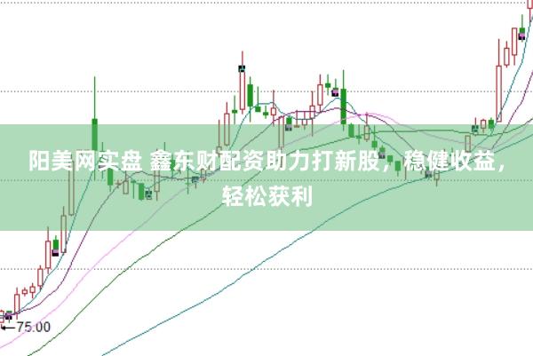 阳美网实盘 鑫东财配资助力打新股，稳健收益，轻松获利