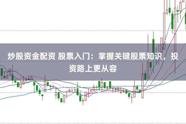 炒股资金配资 股票入门：掌握关键股票知识，投资路上更从容