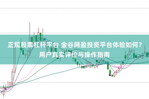正规股票杠杆平台 金谷网盈投资平台体验如何？用户真实评价与操作指南