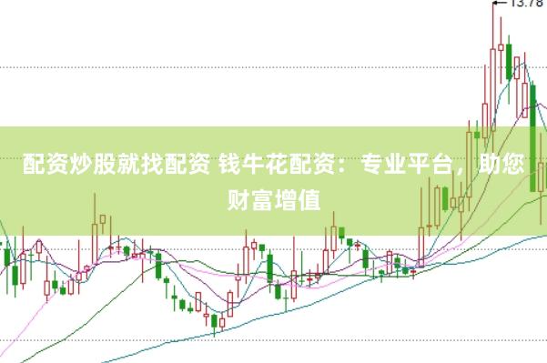 配资炒股就找配资 钱牛花配资：专业平台，助您财富增值