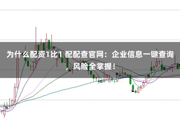 为什么配资1比1 配配查官网：企业信息一键查询，风险全掌握！