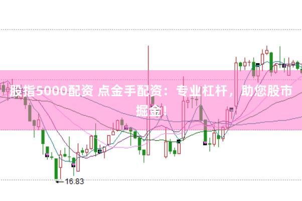 股指5000配资 点金手配资：专业杠杆，助您股市掘金！