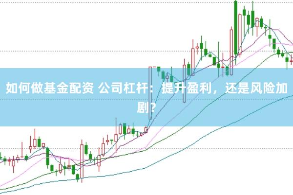 如何做基金配资 公司杠杆：提升盈利，还是风险加剧？