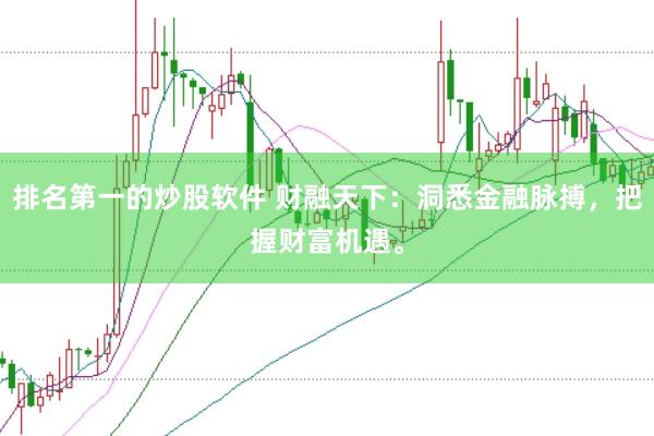 排名第一的炒股软件 财融天下：洞悉金融脉搏，把握财富机遇。