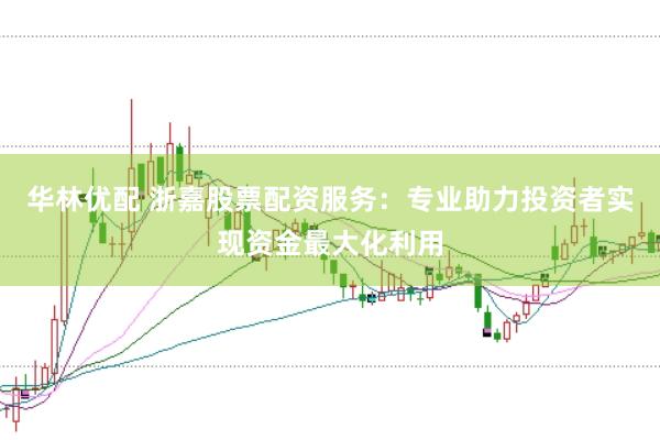 华林优配 浙嘉股票配资服务：专业助力投资者实现资金最大化利用