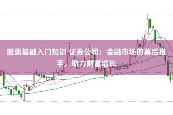股票基础入门知识 证券公司:金融市场的幕后推手,助力财富增长