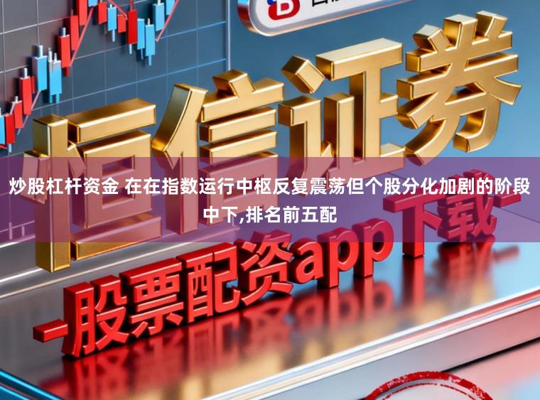 炒股杠杆资金 在在指数运行中枢反复震荡但个股分化加剧的阶段中下,排名前五配